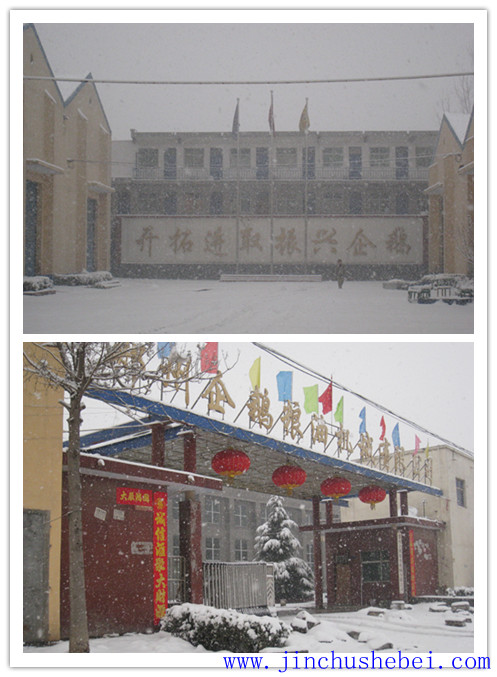 歡迎鄭州企鵝高層視察電商部工作(圖1) 浸出油設備,預榨浸出生產線,榨油設備,精煉設備