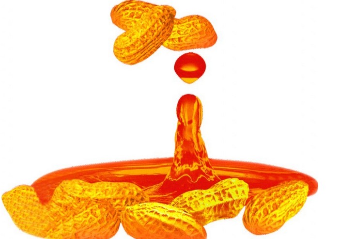 揭秘“濃香型”花生油工藝(圖1) 花生油浸出設備